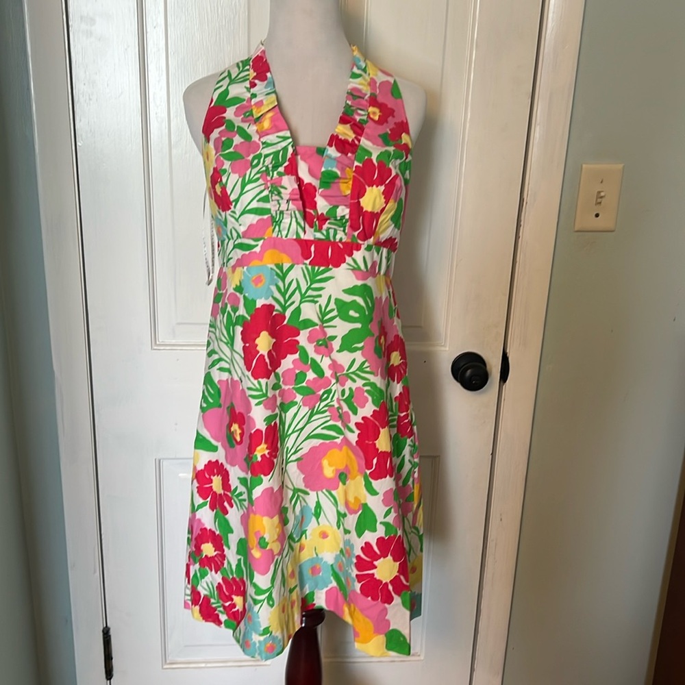 Lilly Pulitzer aunts on parade dress